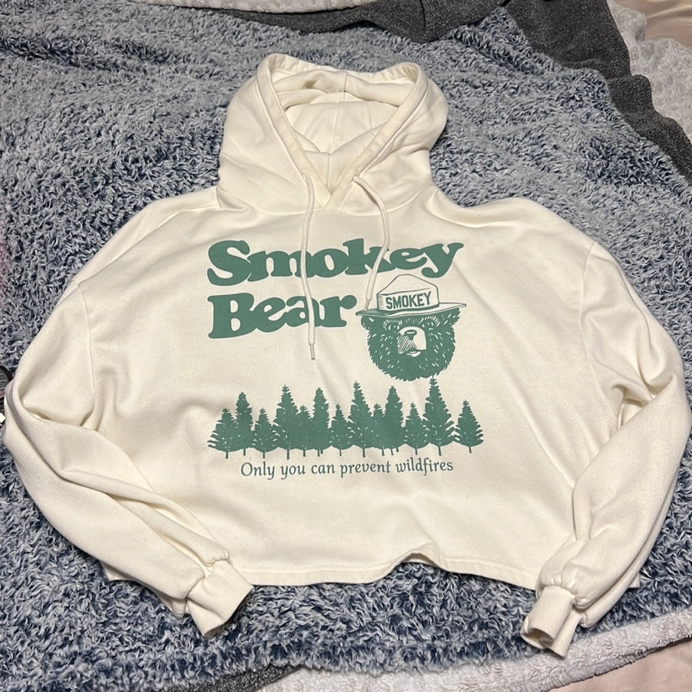 Smokey Bear cropped hoodie